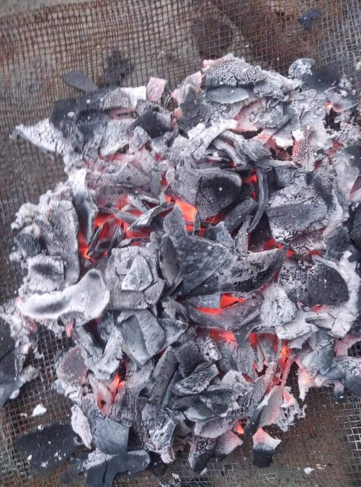 فحم جوز الهند في مصر Coconut shell charcoal Egypt